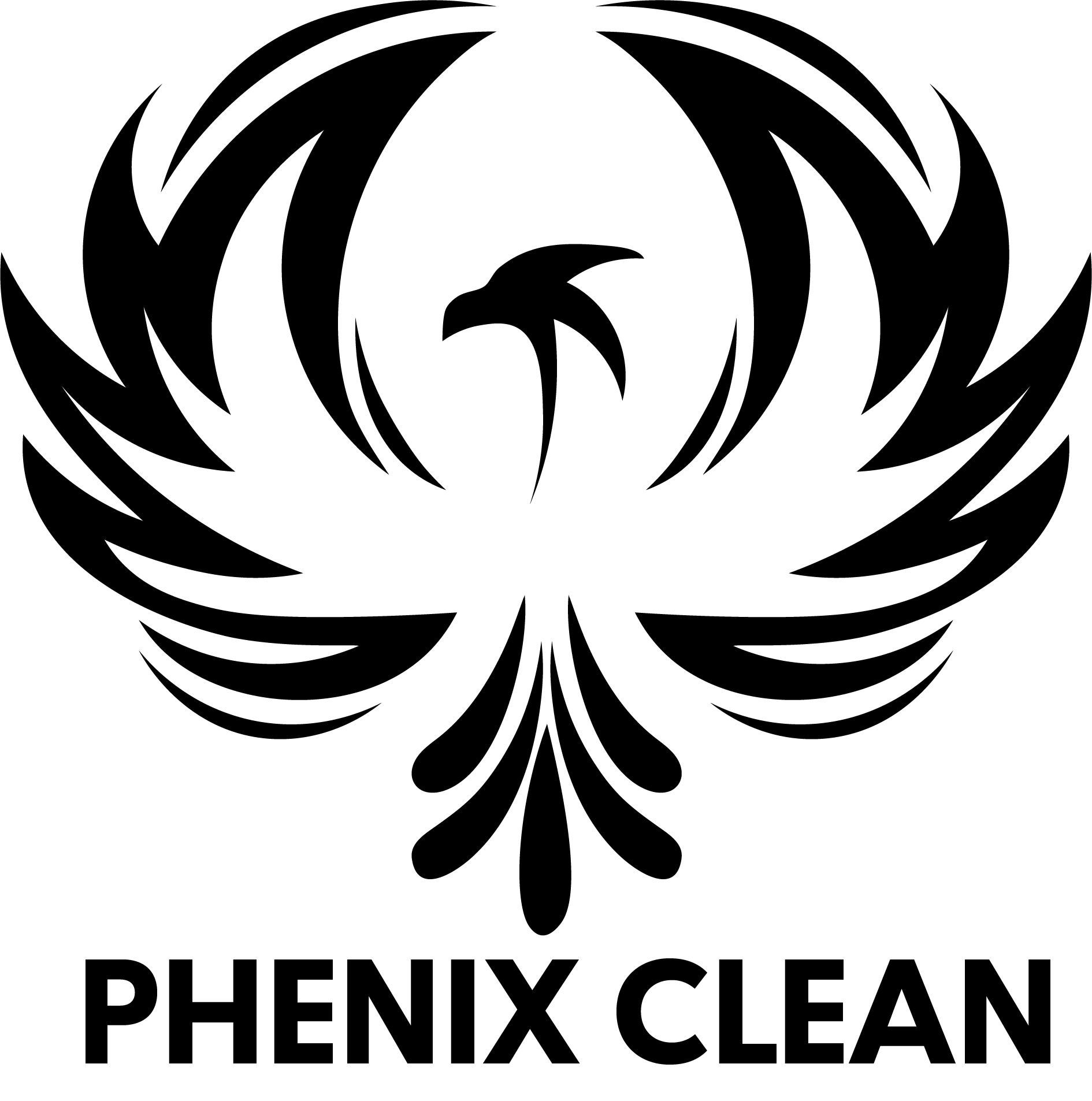 Logo Phenix Clean