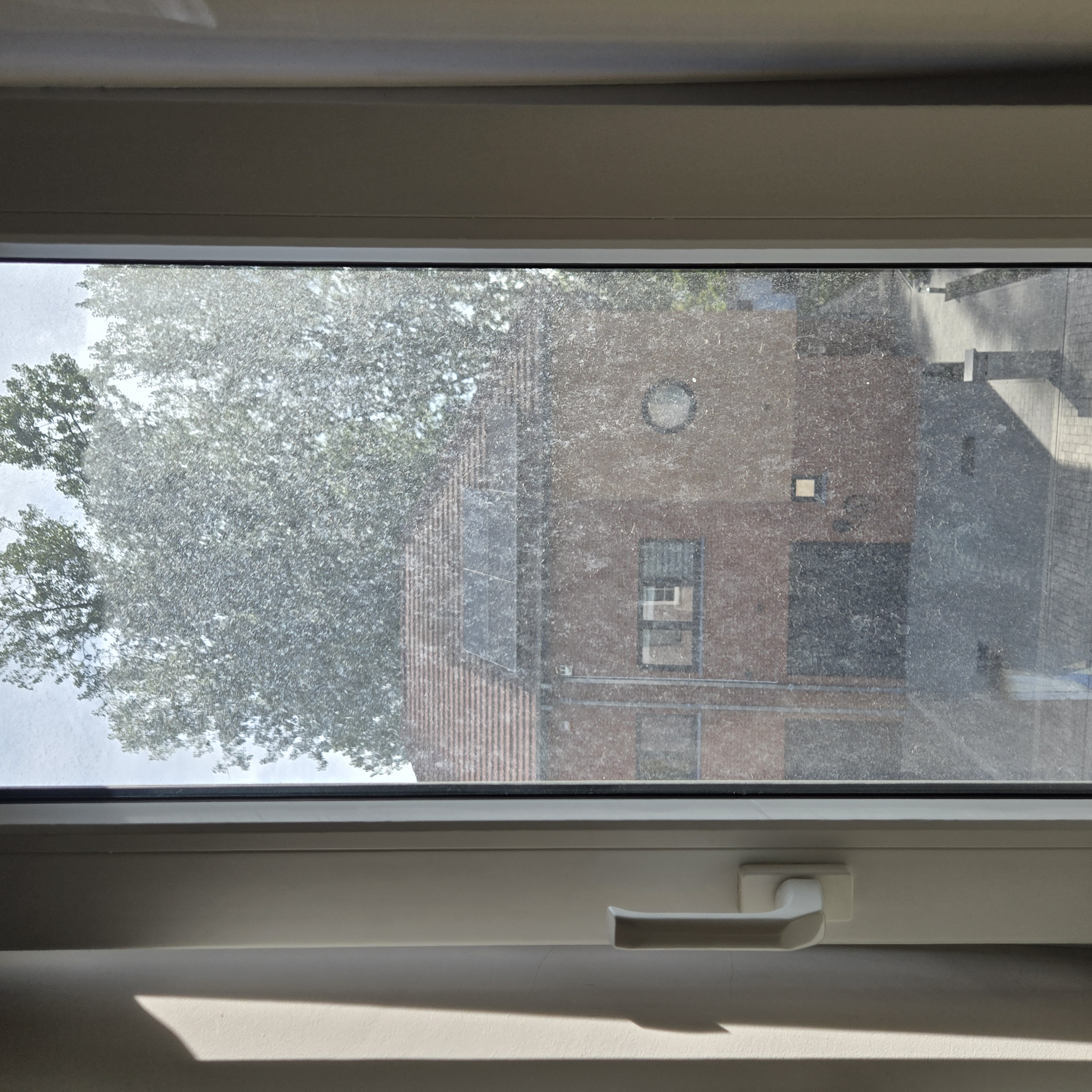 ON E CLEAN SRL — réalisation 20